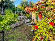 Top Marina di Camerota