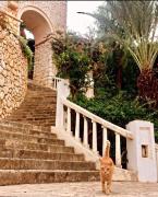 Top Kalkan Top Kalkan