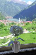 Top Uzungol