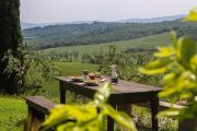 Top Buonconvento