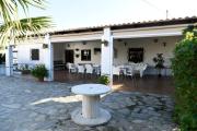 Top Prado del Rey