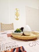 Top Albissola Marina