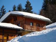 Chalet Savoyard 8 pers, proche pistes, parking - FR-1-733-1