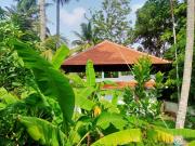 Top Alleppey