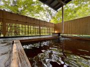 丸山鉱泉旅館 丸山鉱泉旅館