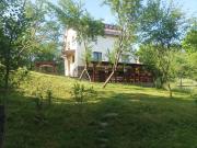 Top Moisei Top Moisei