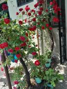 Hotel House On Zubalashvili