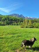 Top Zakopane