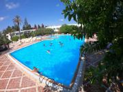 Top Hammamet