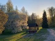 Part of house, sauna and terrace