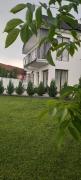 Accent Garden Accent Garden