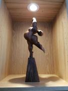 Top Saint-Jean-en-Royans