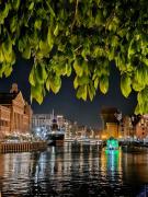 Top Gdańsk Top Gdańsk