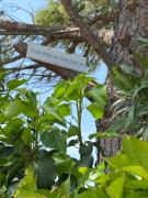 Top Sérignan-du-Comtat