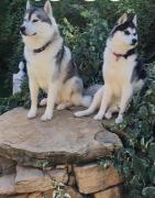 Top Sérignan-du-Comtat