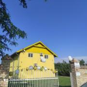 Top Palić