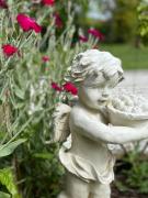 Top Saint-Yzans-de-Médoc