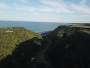 Forget-me-not Holidays