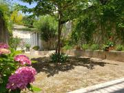 Top Cassis