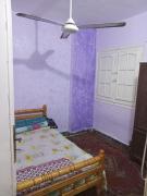 الاسكندرية العجمي الهانوفيل