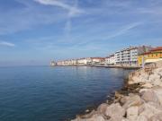 Top Piran