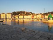 Top Piran