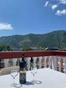 Top Kotor Top Kotor