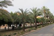 Top Alicante