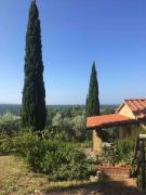Casa Belvedere -tranquillità tra bosco e ulivi-