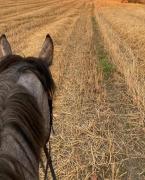 Top Tarnowo Pałuckie