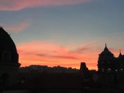 Top Naples Top Naples