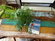 Top Jelenia Góra Top Jelenia Góra