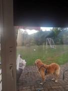 Top Titisee-Neustadt