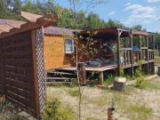 Top Krzywogoniec Top Krzywogoniec