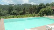 Top Olival
