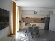 Apartament regim hotelier Băile Felix Apartament regim hotelier Băile Felix