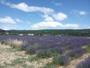 Top Sault-de-Vaucluse