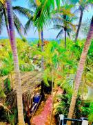 Top Puerto Escondido