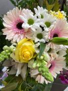 Top Paredes de Coura Top Paredes de Coura