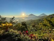 Top Kintamani