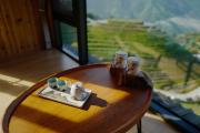 Top Longsheng