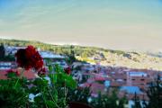 Top Cuzco