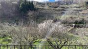 Top Schwallenbach