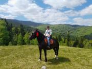 Top Yaremche Top Yaremche