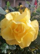 Top Oradour-sur-Glane