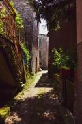 Top Ne