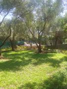 Top Fethiye