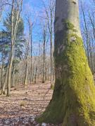 Top Szymbark Top Szymbark