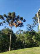 Top Rio Rufino
