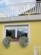 Top Tolmin